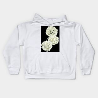 Resting T lymphocytes, SEM (C038/8368) Kids Hoodie